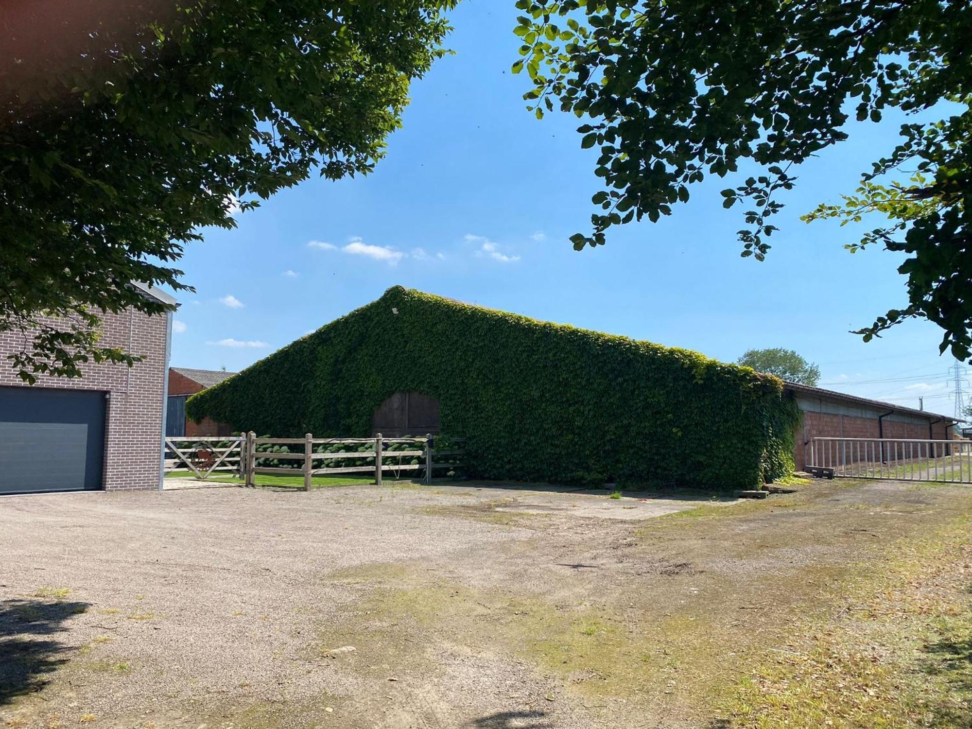 B&B De Vlierbeek 신트니클라스 외부 사진